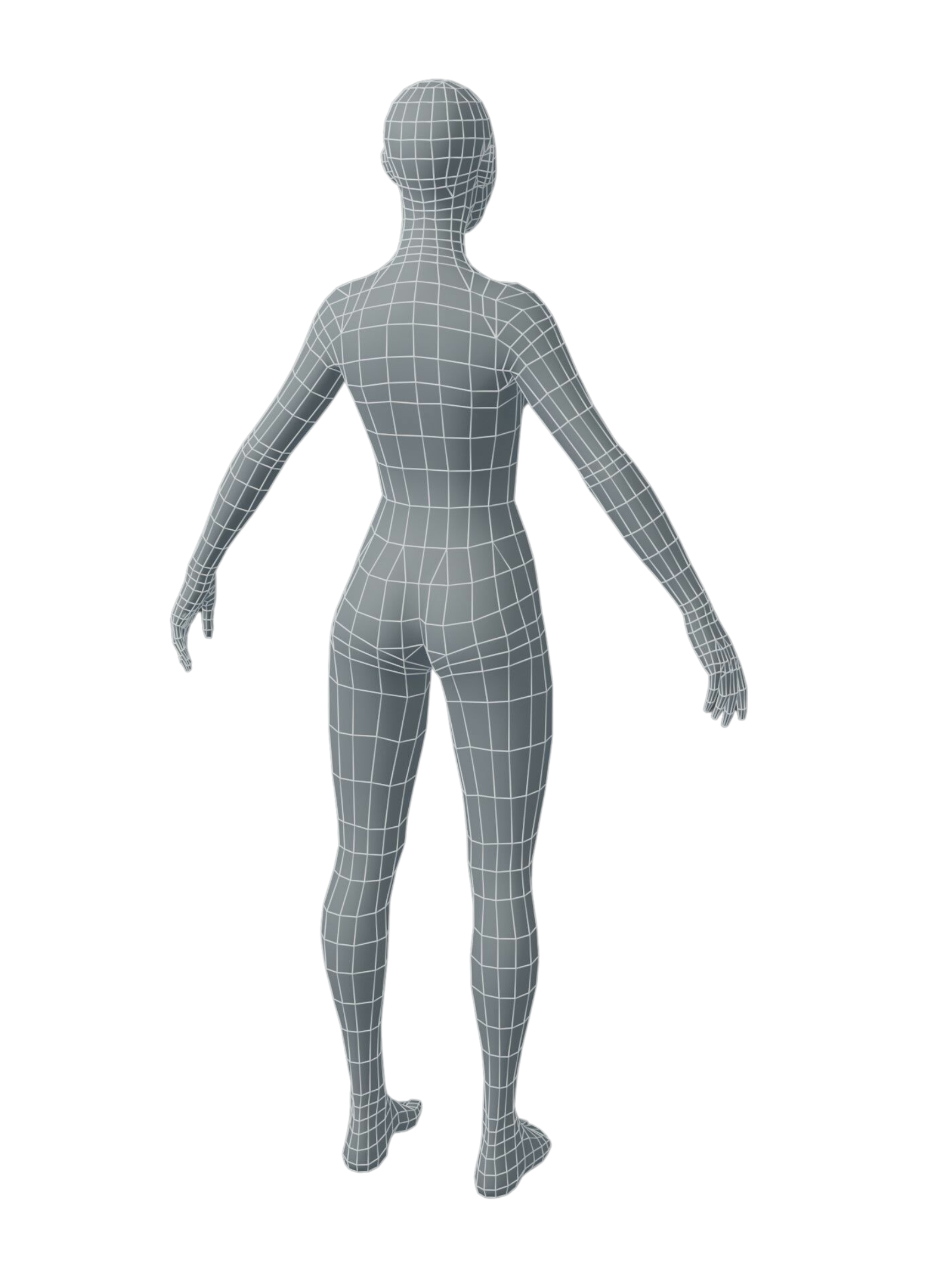 3D render of womans back